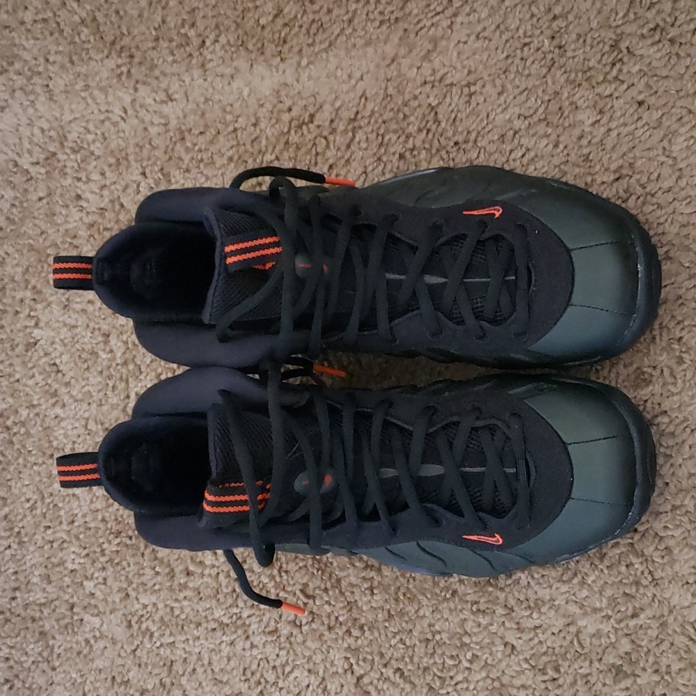 Nike Foamposite Sequoia
